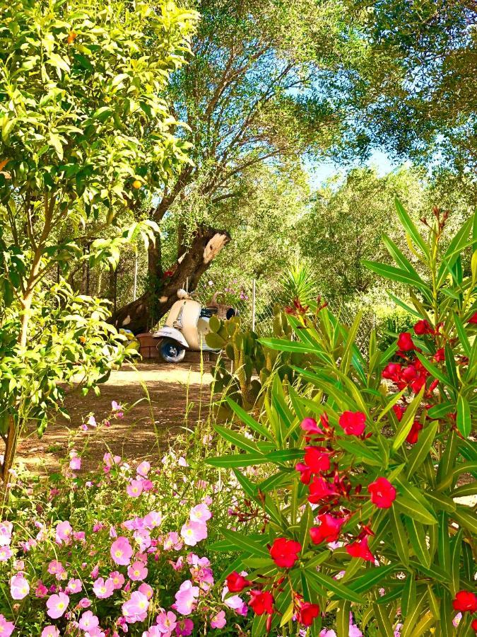 Armonia Corfu Luxury * Liapades