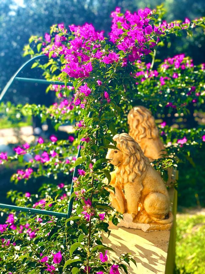 Armonia Corfu Luxury Apartment