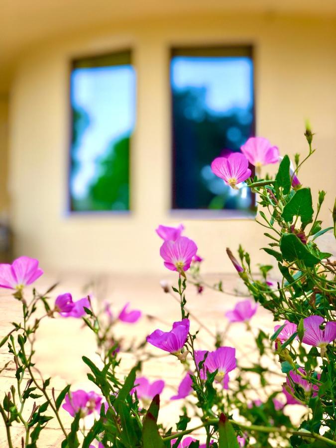 Armonia Corfu Luxury Apartment