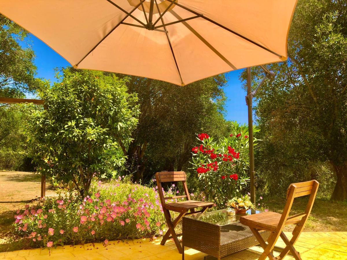 Armonia Corfu Luxury Liapades