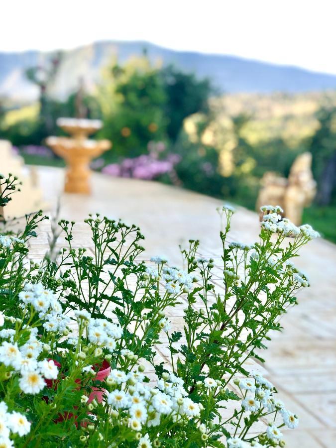 Apartment Armonia Corfu Luxury Liapades