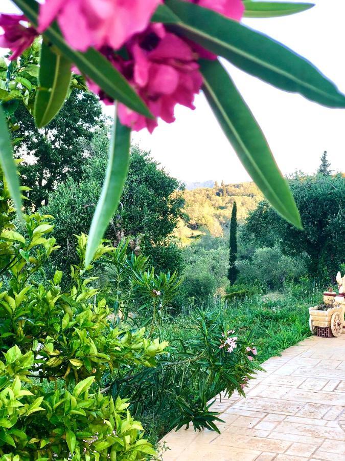 Apartment Armonia Corfu Luxury Liapades